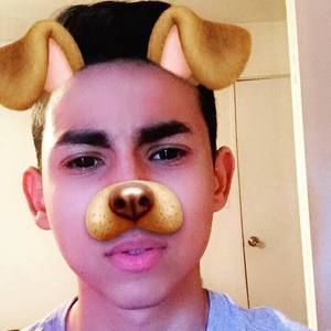 Meet your Posher, Hector